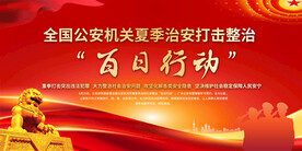 开展夏季治安打击整治百日行动