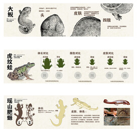 野生动物科普解说展牌