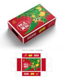 黄桃包装