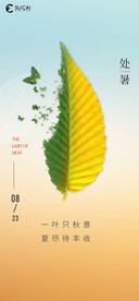 处暑落叶海报