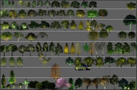 亮化夜景树齐全的分层素材PSD