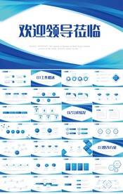热烈欢迎上级领导莅临指导PPT