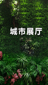 绿植墙