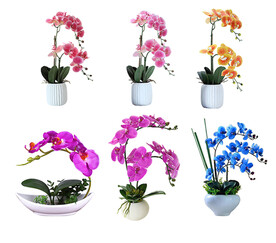 仿真蝴蝶兰 前台花卉