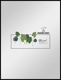 高清透底树叶移门图案