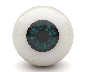 眼球三维3D模型渲染图