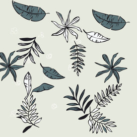 手绘花卉线条叶子