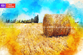 秋季成捆的干草垛