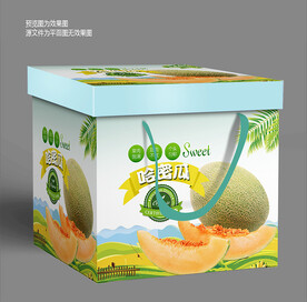 哈密瓜包装