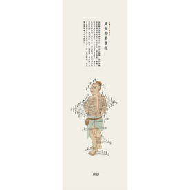 12筋络图谱-足太阳膀胱经