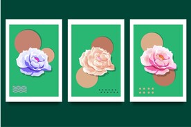 现代简约花卉装饰画