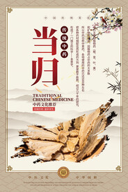 当归中药海报