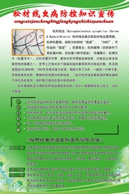 松材线虫病防控知识宣传