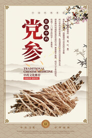 党参中药海报