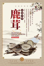 鹿茸中药海报