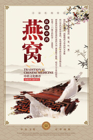 燕窝中药海报