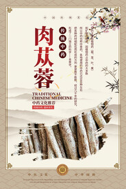 肉苁蓉中药海报
