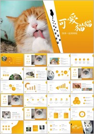 萌宠猫咪宠物医院美容ppt