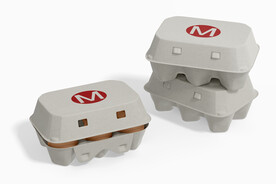 包装长方形鸡蛋盒样机PSD模型