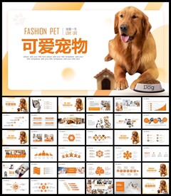 宠物狗宠物医院猫狗兽医PPT