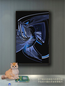 南美轻奢抽象装饰画