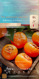 地产秋分节气单图刷屏