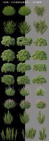 后期绿化带素材