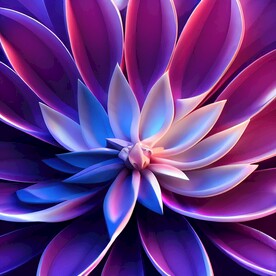 唯美的艺术荷花