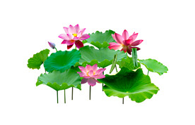 高清分层平开门打印图