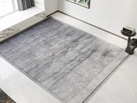 客厅空场景 地毯背景