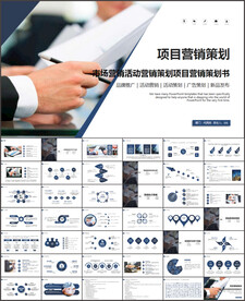 项目营销策划PPT
