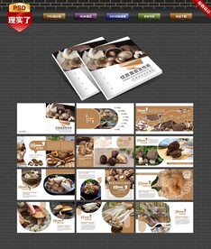 菌菇画册