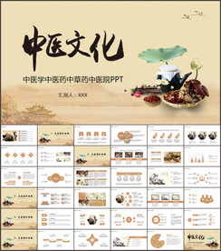 中国传统中医中药文化汇报PPT