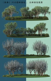 丛林绿岛远景植物