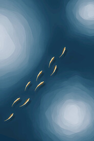 九鱼图蓝色河流抽象几何线条背景