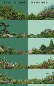 后期花卉草地绿化