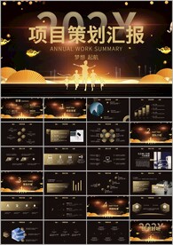 项目策划方案书ppt