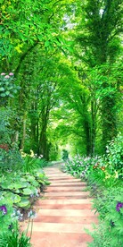 树林走道玄关画