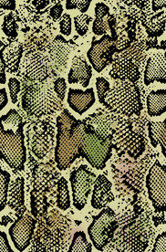 蛇皮纹