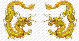 龙