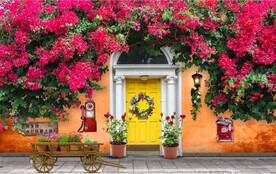 欧美田园风家居场景背景墙壁画