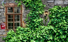 欧美田园风家居场景背景墙壁画