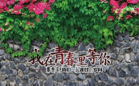 我在青春你等你背景墙壁画