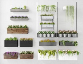 花卉多肉绿植3D模型