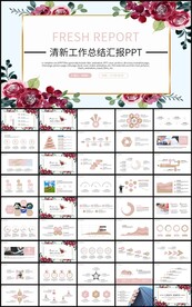 通用清新工作总结汇报PPT模板