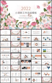 彩绘花卉工作总结述职报告ppt