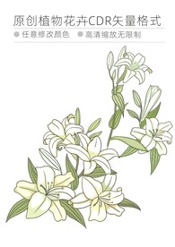 植物花卉格式cdr