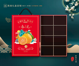 耙耙柑包装 水果礼盒