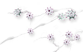 玉兰花朵 灰白根大理石背景墙