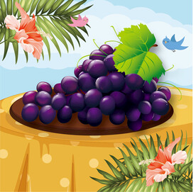 手绘葡萄矢量图